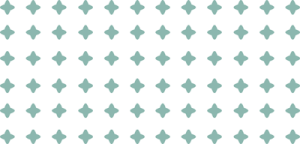Pattern 300x144 2 2