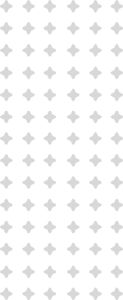 Pattern V 1 123x300 1 2